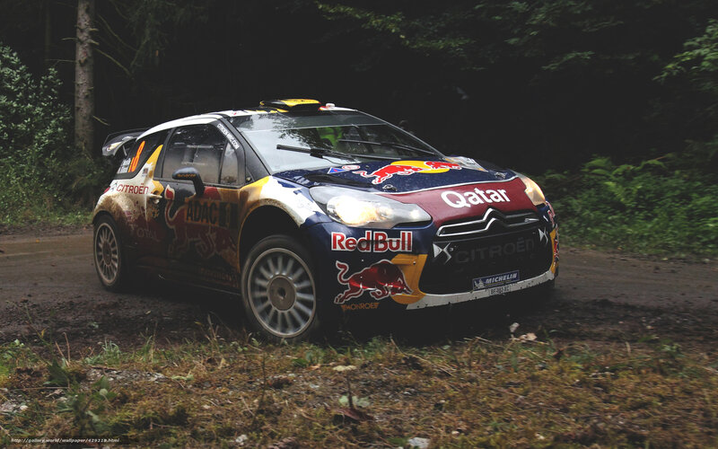 Citroen rally car on forest road