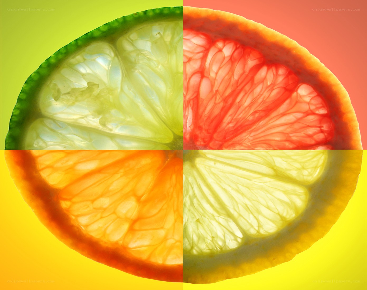 citrus fruit slices collage
