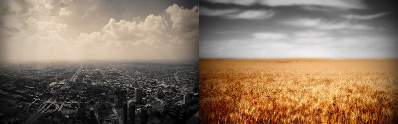 City and field landscape