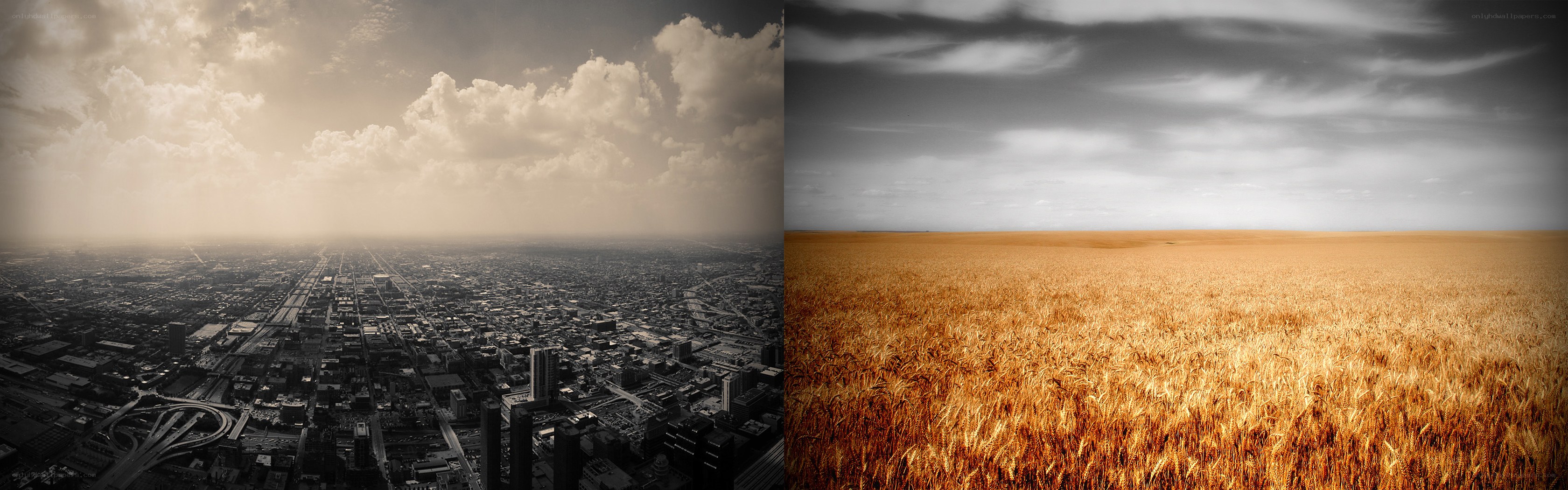 City and field landscape