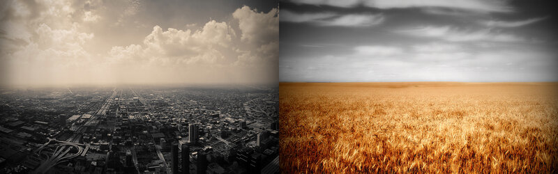 City and Wheat Field