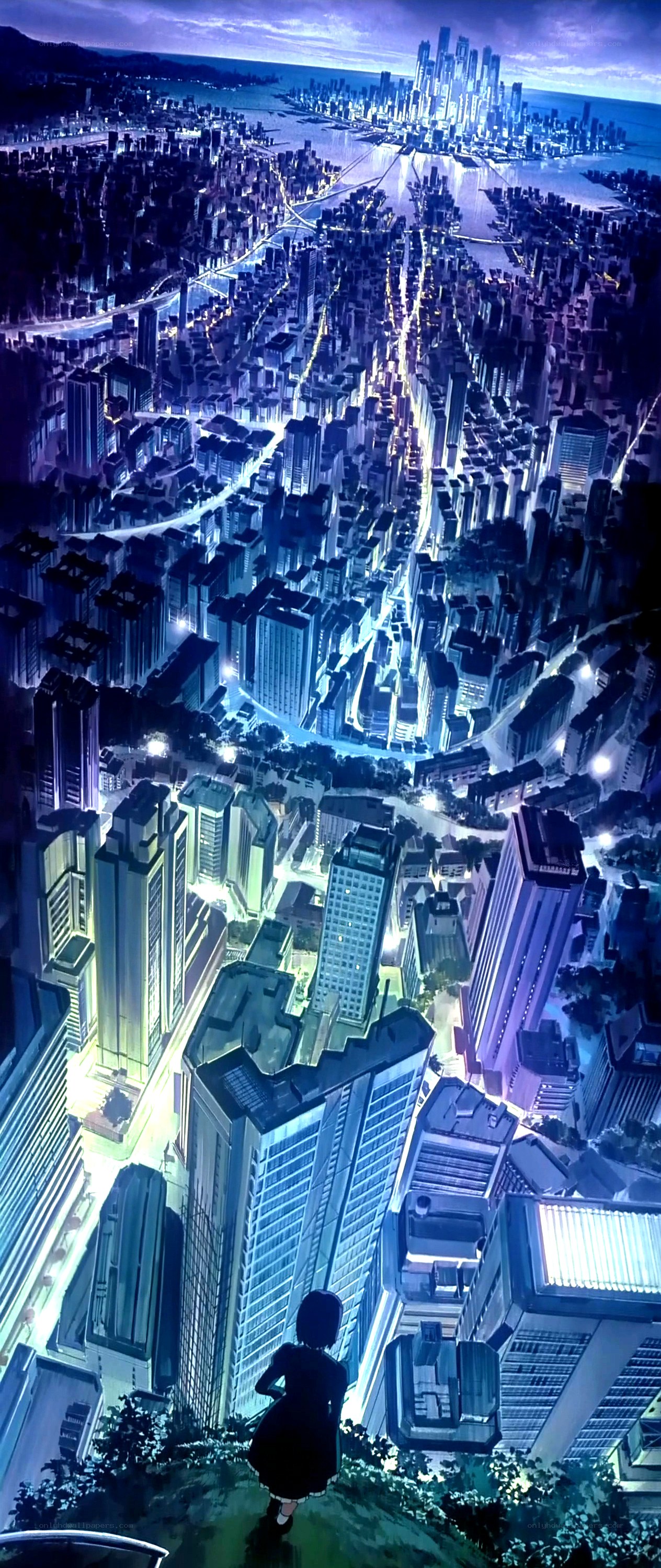 city at night from high vantage