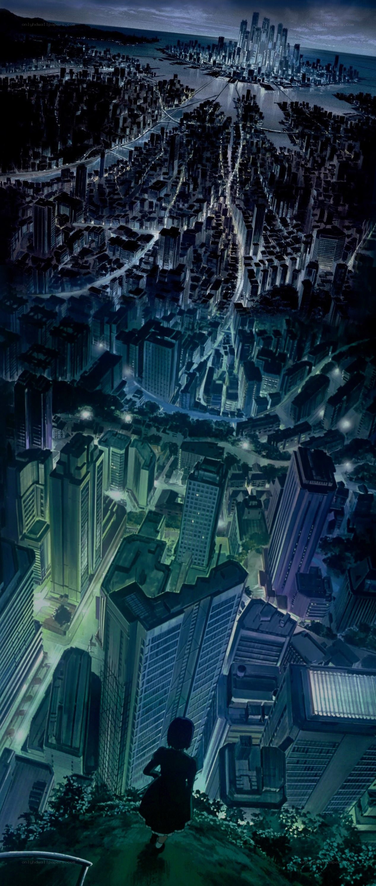 city at night from high vantage