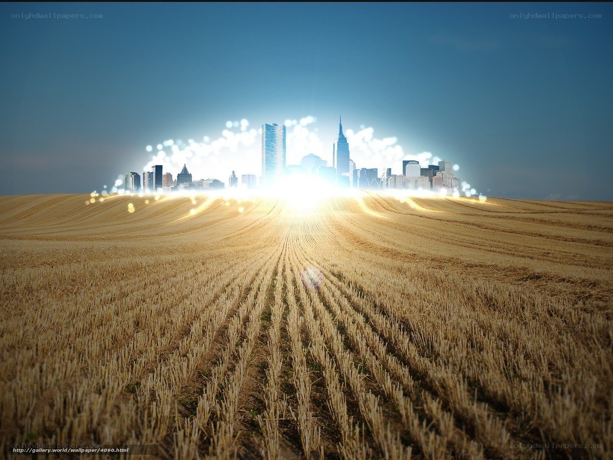 City emerging from a field