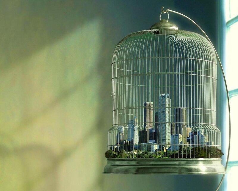 City in a Birdcage