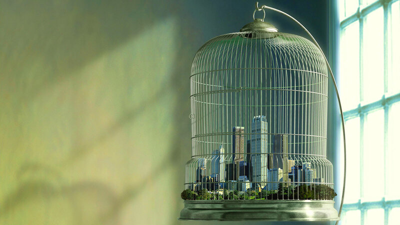 City in a birdcage