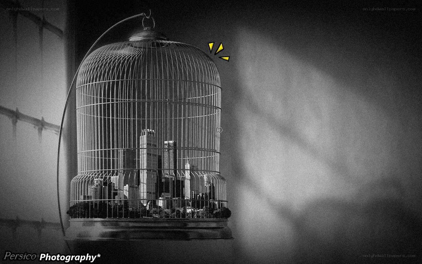 City in a Birdcage