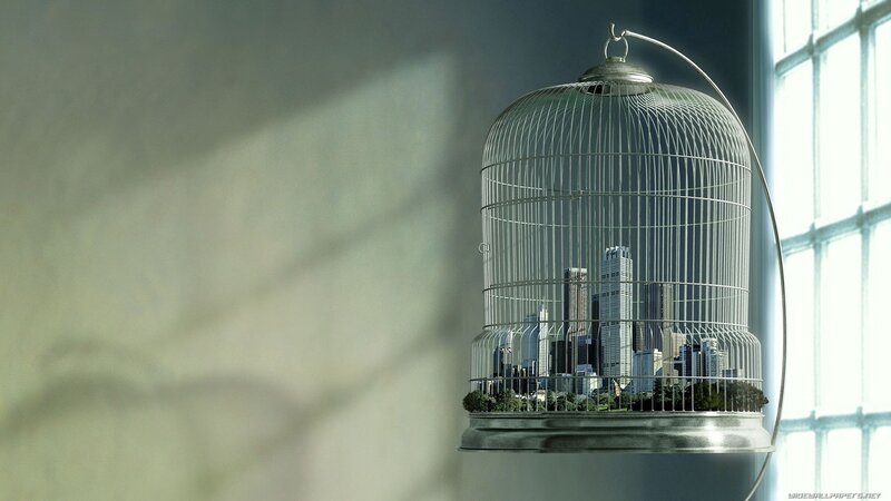 city in a birdcage