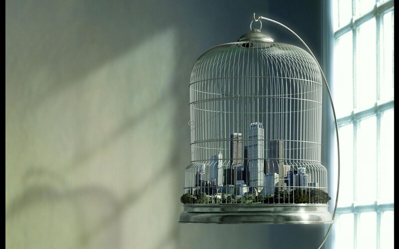 city in a birdcage