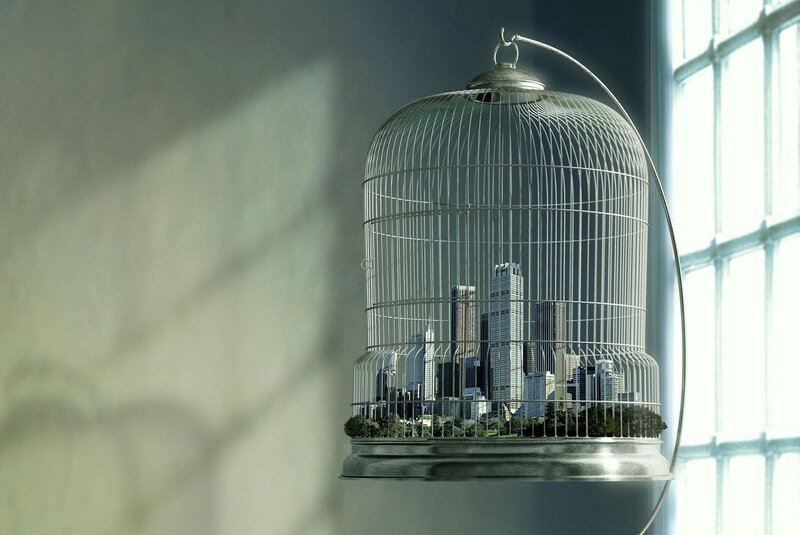 City in a birdcage