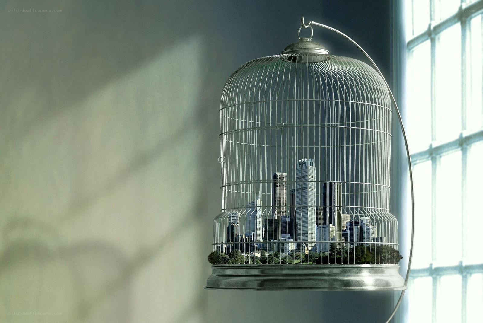 City in a birdcage