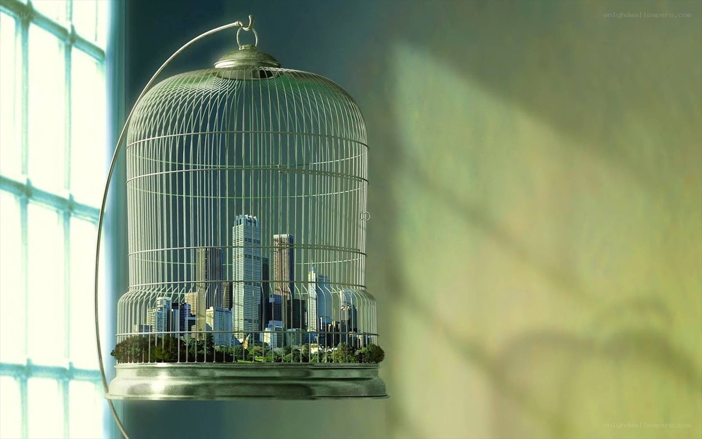 City in a Birdcage