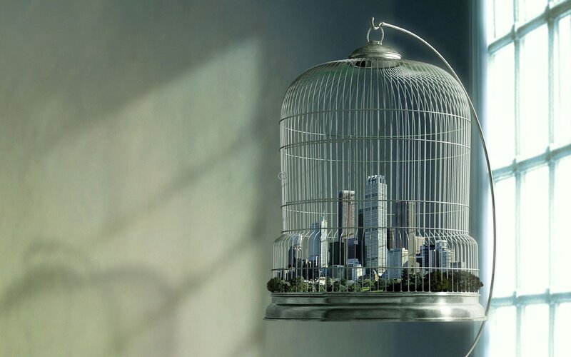 City in a Birdcage — Gray, Dramatic, Afternoon