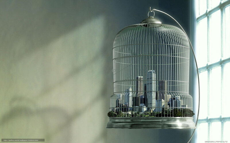 City in a Birdcage — Gray, Dramatic