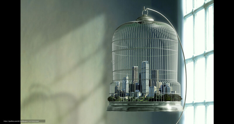 City in a Birdcage — Gray