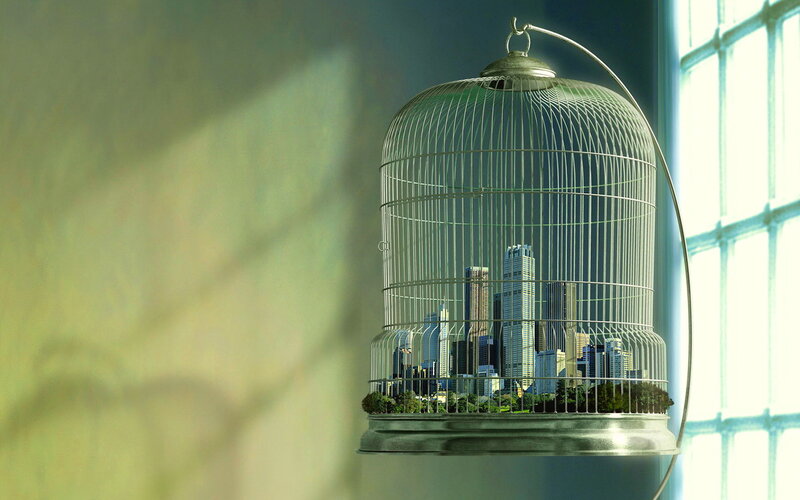 City in a Birdcage — Green, Dramatic, Afternoon, Digital Art, Skyscraper