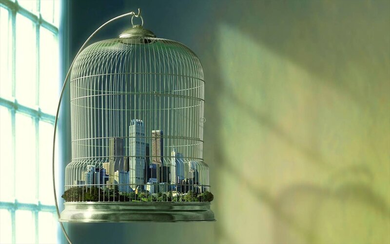City in a Birdcage — Green, Dramatic, Afternoon, Digital Art, Skyscraper, Window