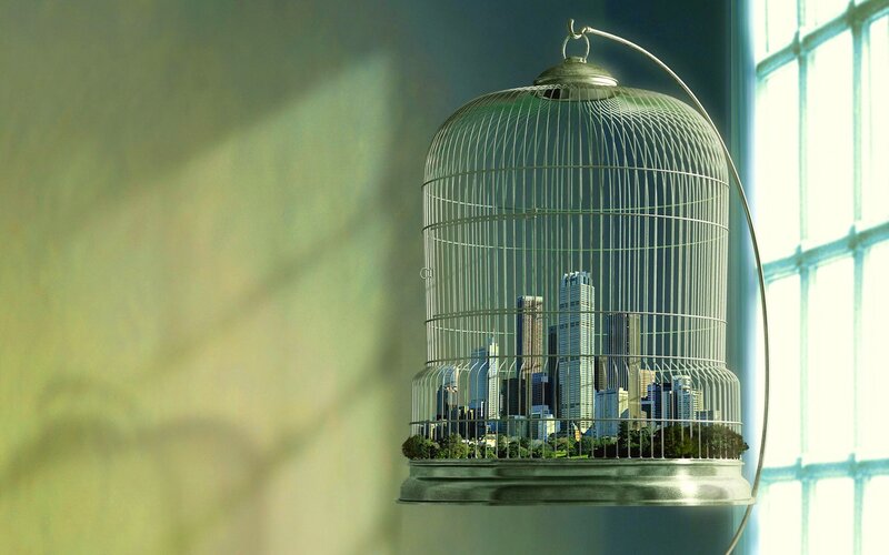 City in a Birdcage — Green, Dramatic, Afternoon, Digital Art