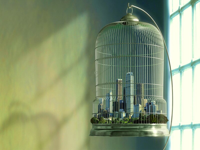 City in a Birdcage — Green, Dramatic, Afternoon