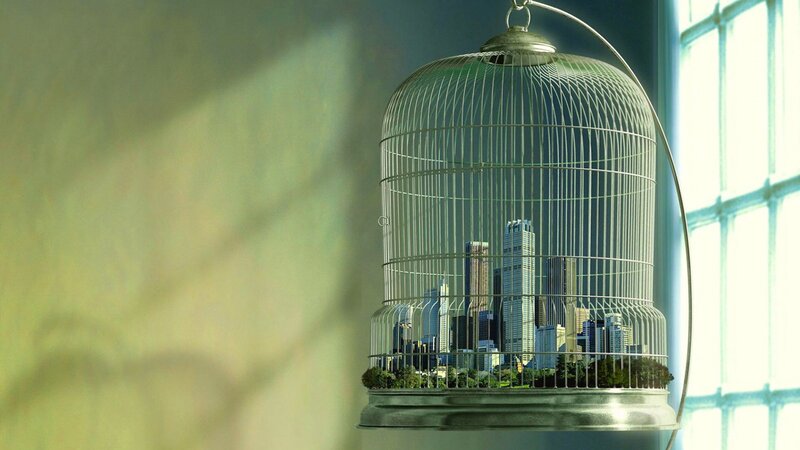 City in a Birdcage — Green, Dramatic