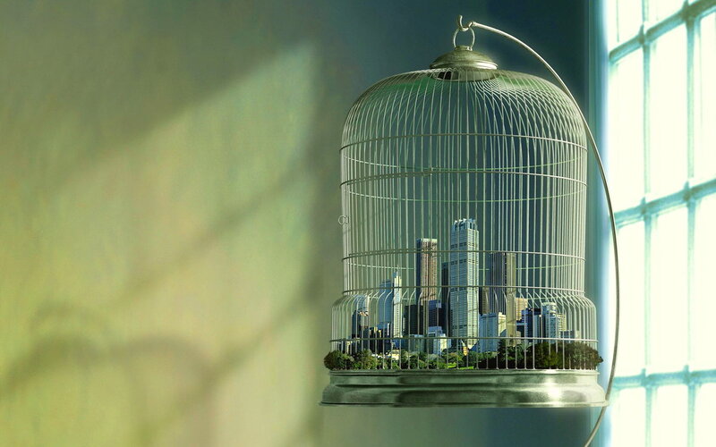 City in a Birdcage — Green