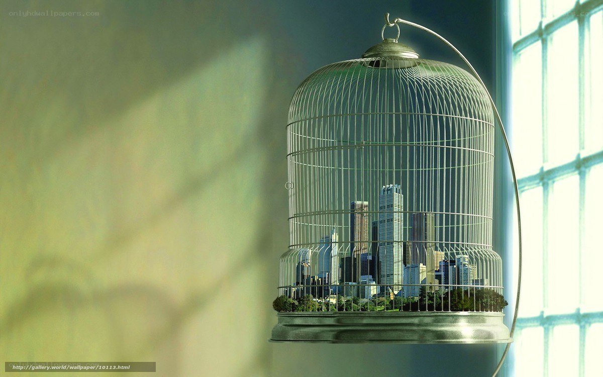 City in a Birdcage