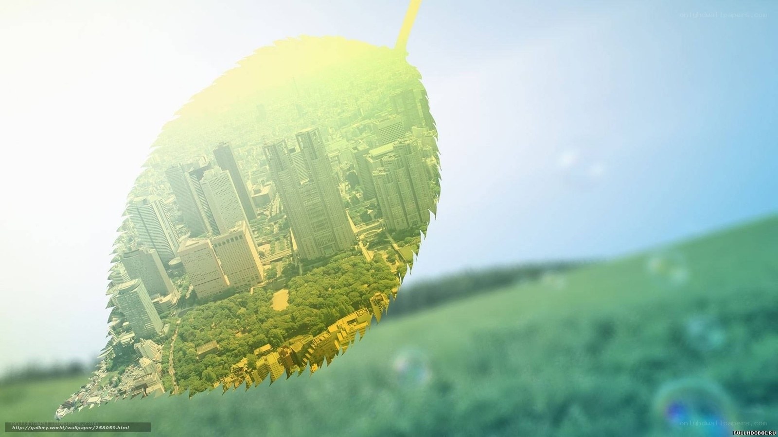 city in a leaf