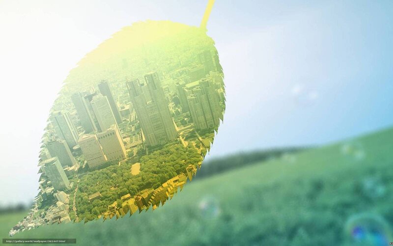 City Inside Leaf