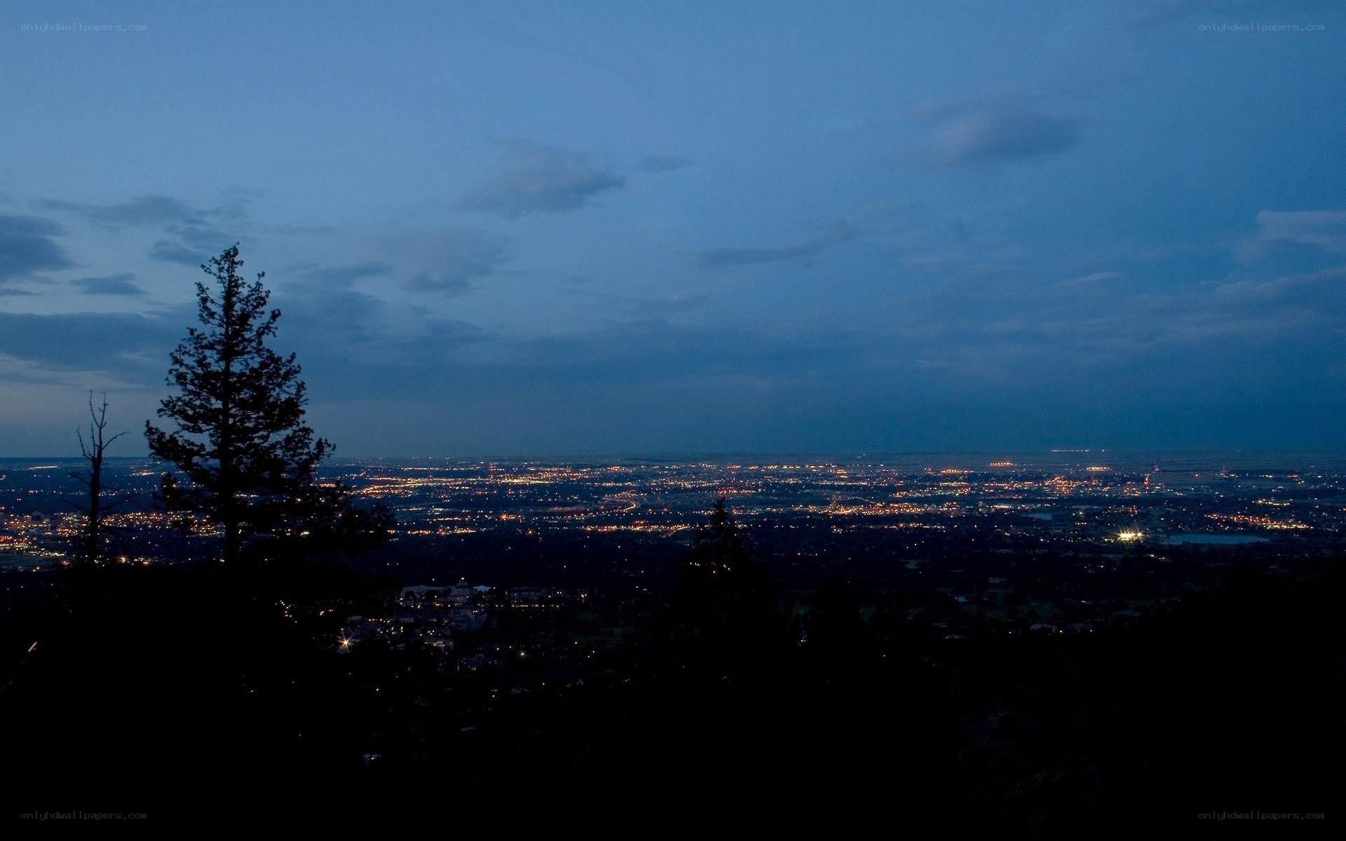 city lights at dusk