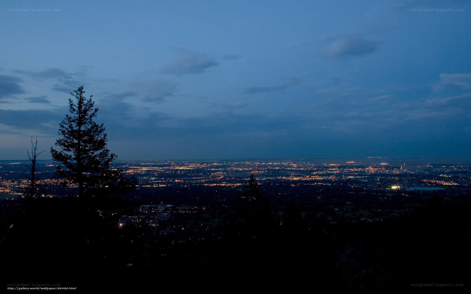 city lights at dusk