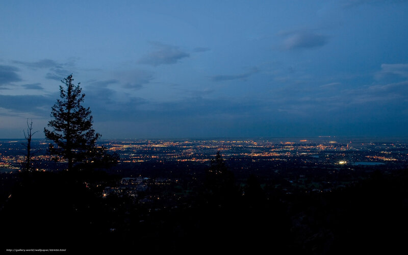 City Lights at Dusk — Blue, Calm