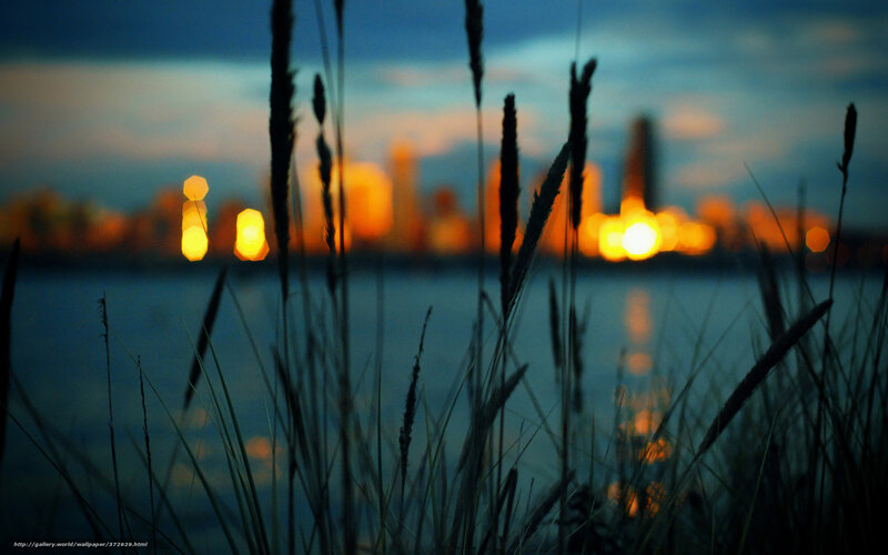 City lights at dusk from the shore