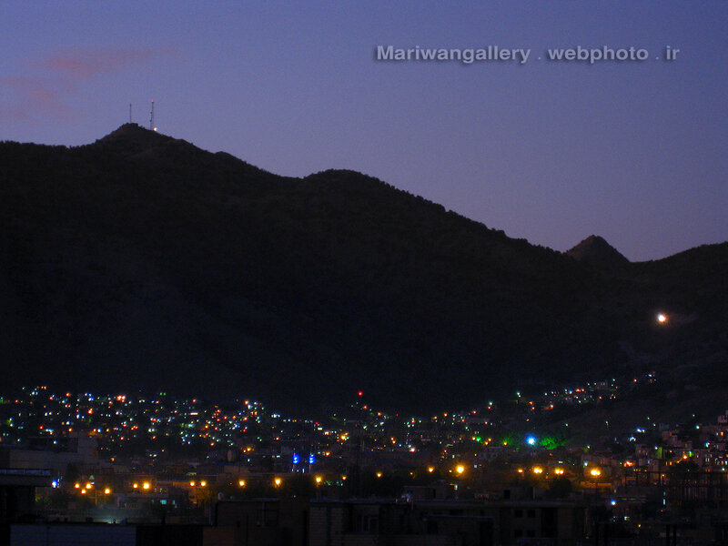 City Lights at Dusk — Purple, Calm