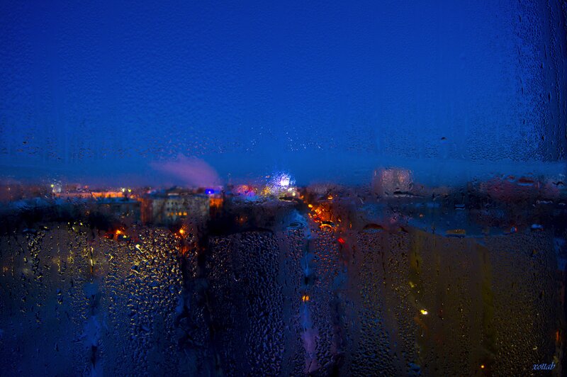 City Lights Through Rain