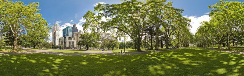 City park with skyscrapers