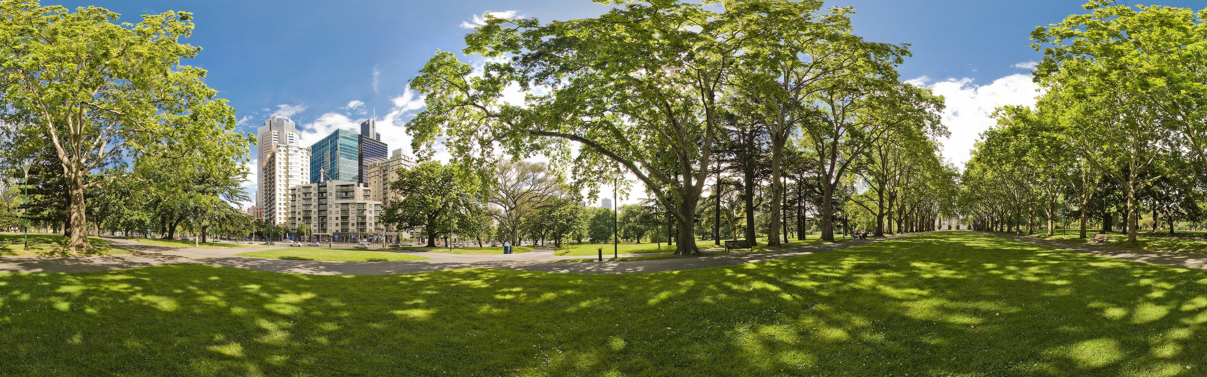 City park with skyscrapers