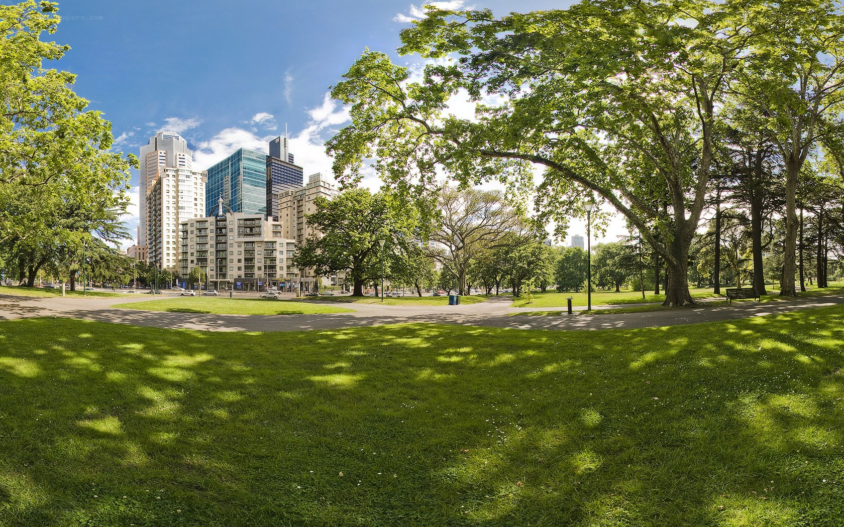 City park with skyscrapers