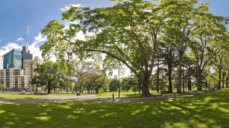City park with trees and skyscrapers