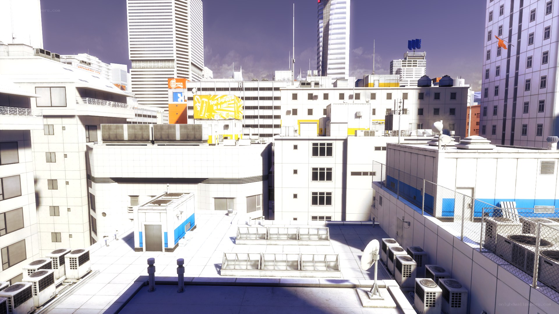 city rooftop view