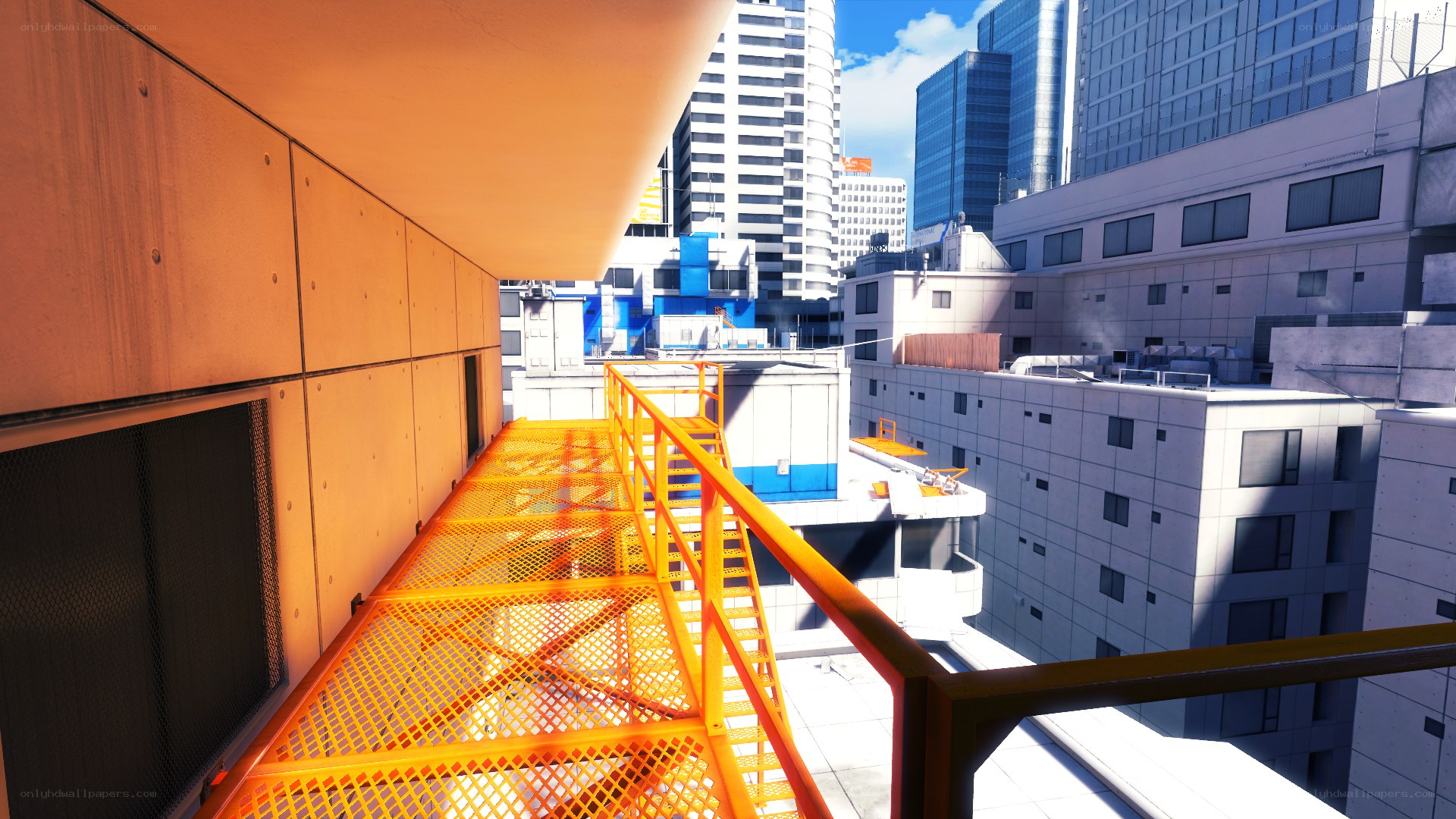 city rooftop walkway