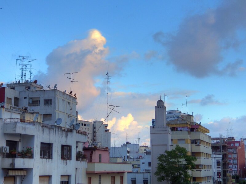 City Rooftops at Dusk — Blue