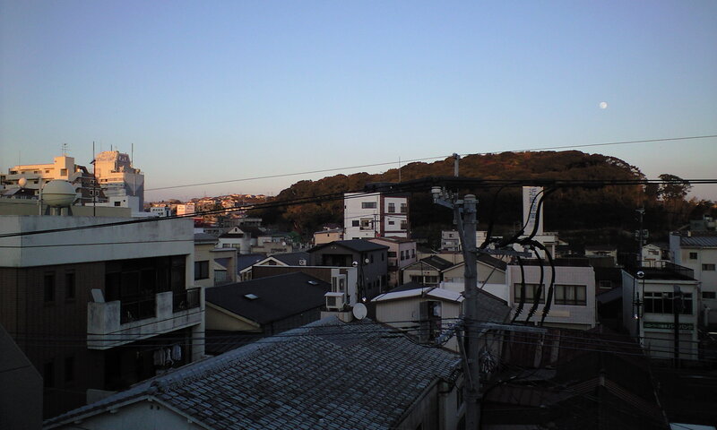 City rooftops at dusk with moon