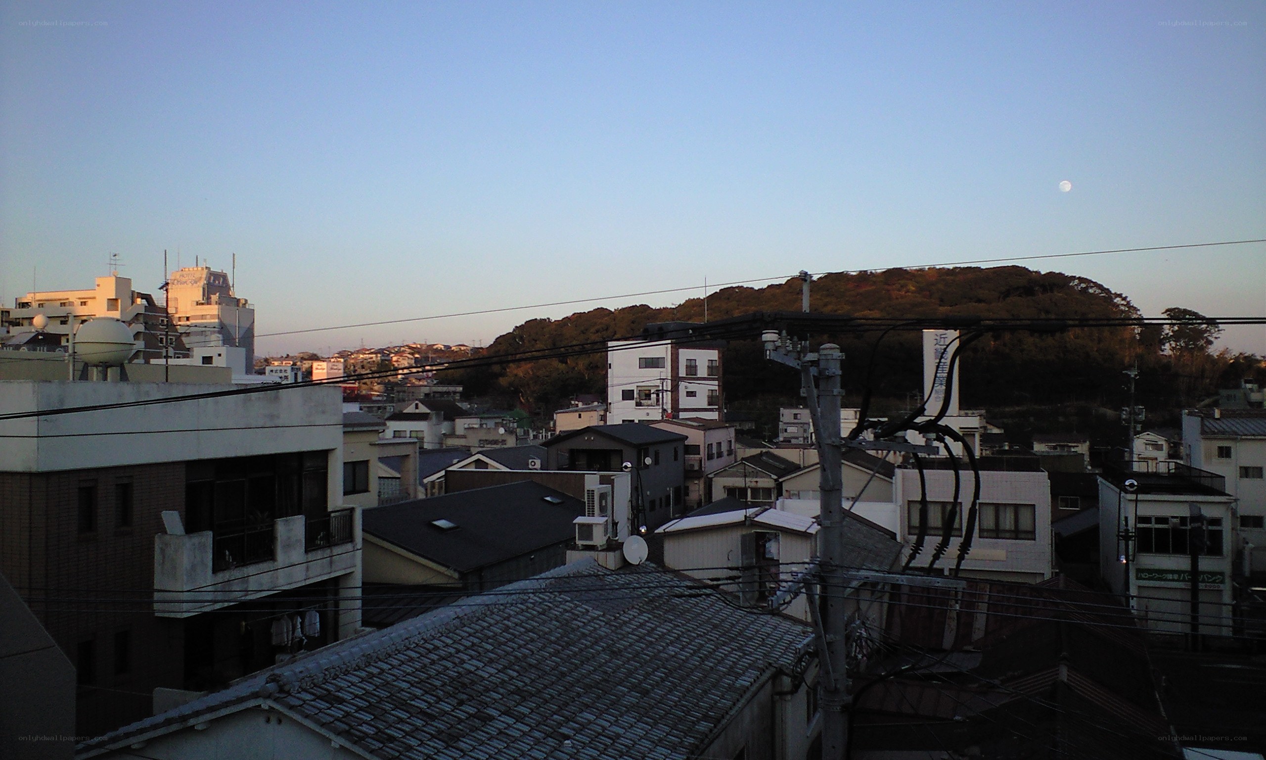 City rooftops at dusk with moon