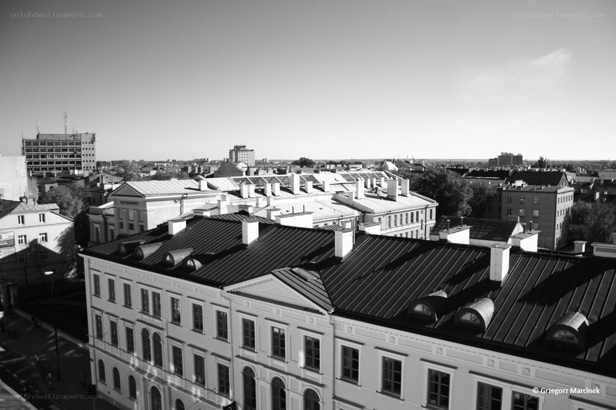 City rooftops in black and white