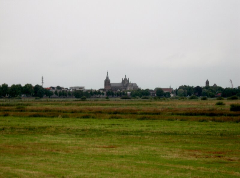 City Skyline Across Marsh — Green