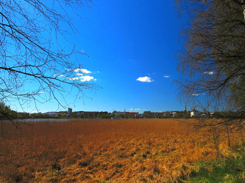 City Skyline Across Marsh