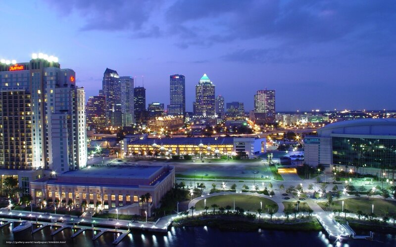 City Skyline at Dusk — Blue, Calm, Night, Photograph, Skyscraper