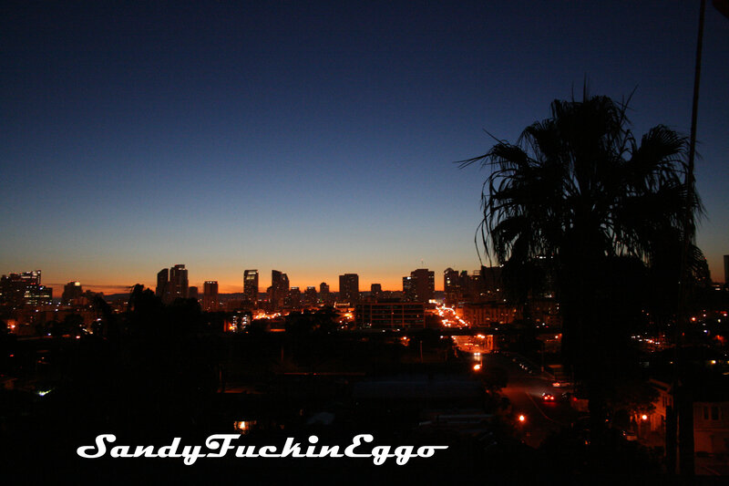 City Skyline at Dusk — Blue, Calm, Sunset, Photograph, Palm Tree