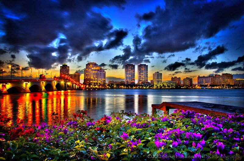 City Skyline at Dusk — Blue, Dramatic, Sunset, Photograph, Flowers