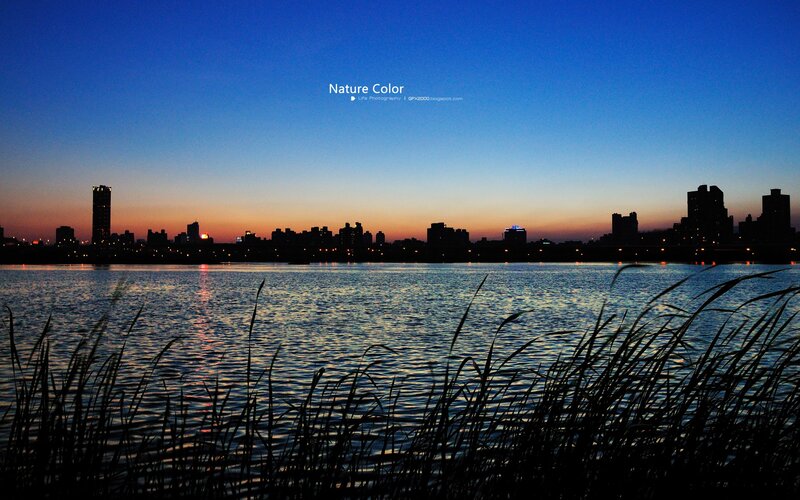 City Skyline at Dusk — Blue, Serene, Sunset, Photograph, River, Reeds